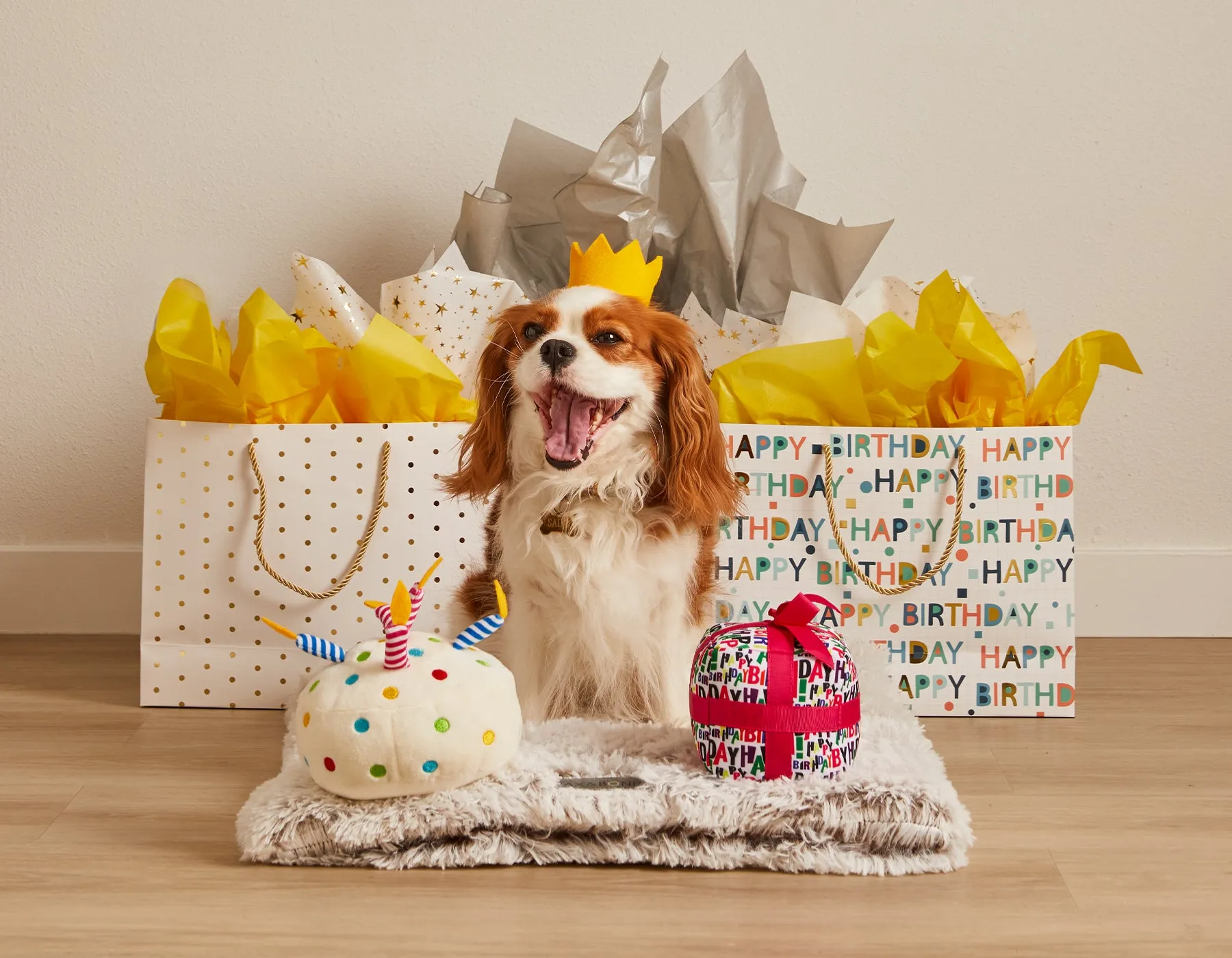 Birthday Cake 6" Plush Dog Toy