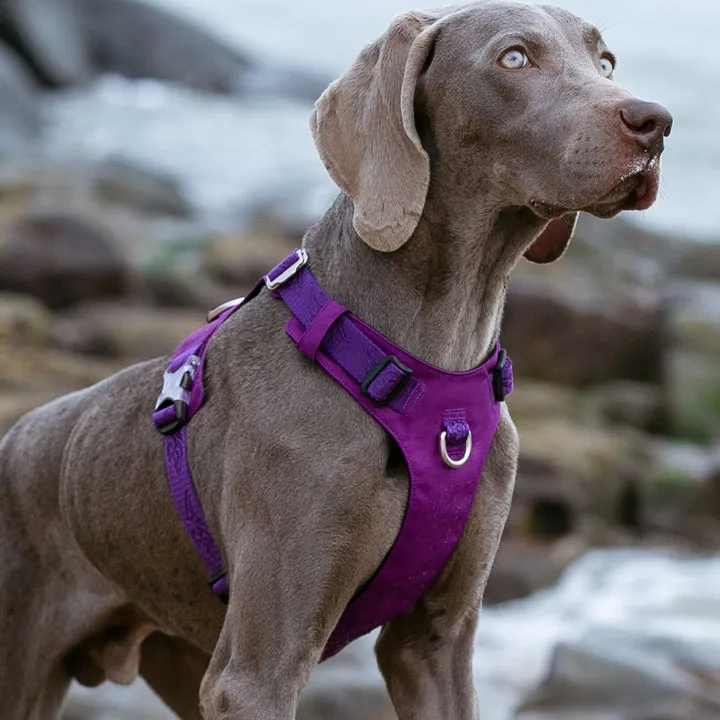 Lightweight Waterproof Tactical Dog Harness Purple L